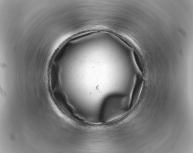 X0000090721038200708101549