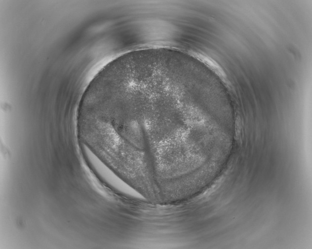 X0000090721039200708101549
