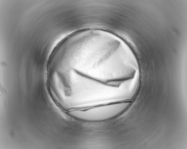 X0000090721040200708101549