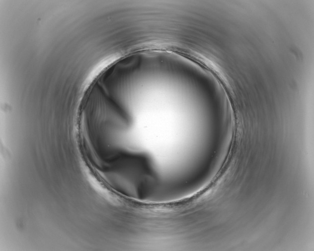 X0000090721042200708101549