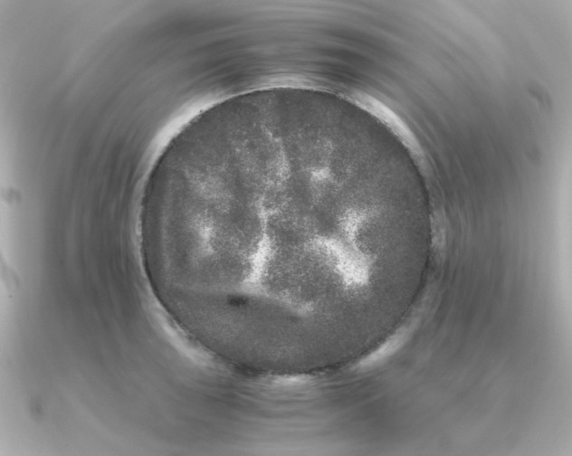 X0000090721043200708101549