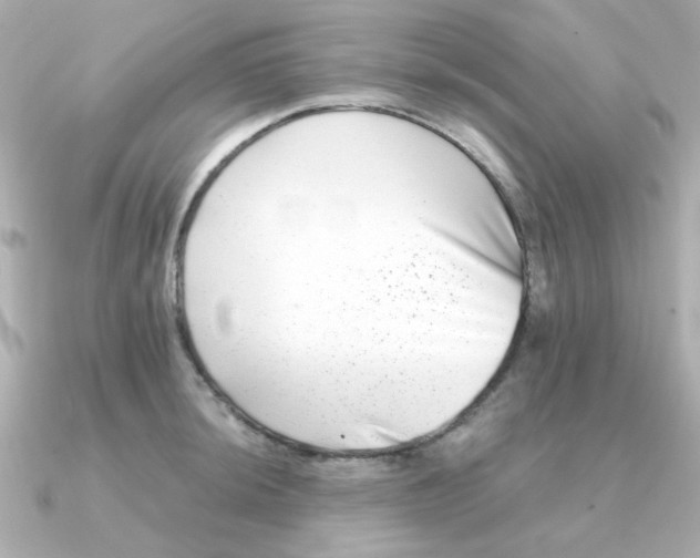 X0000090721044200708101549