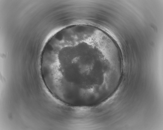 X0000090721045200708101549