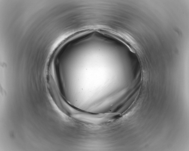 X0000090721046200708101549
