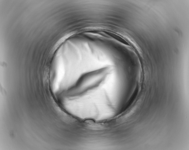 X0000090721049200708101549