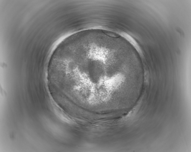 X0000090721051200708101549