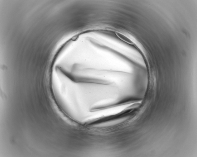 X0000090721053200708101549