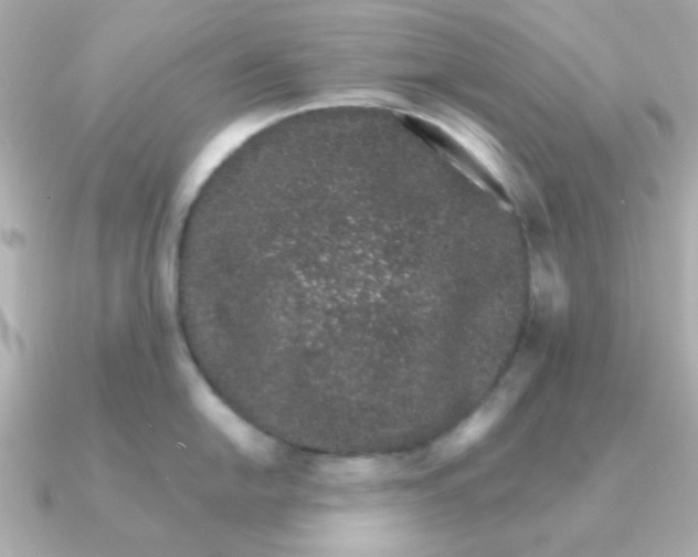 X0000090721054200708101549