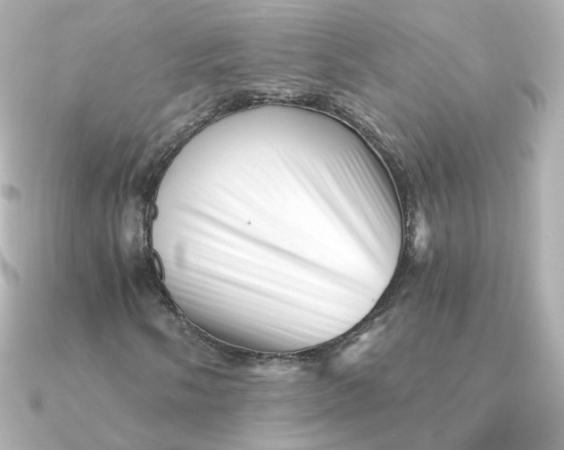 X0000090721058200708101549