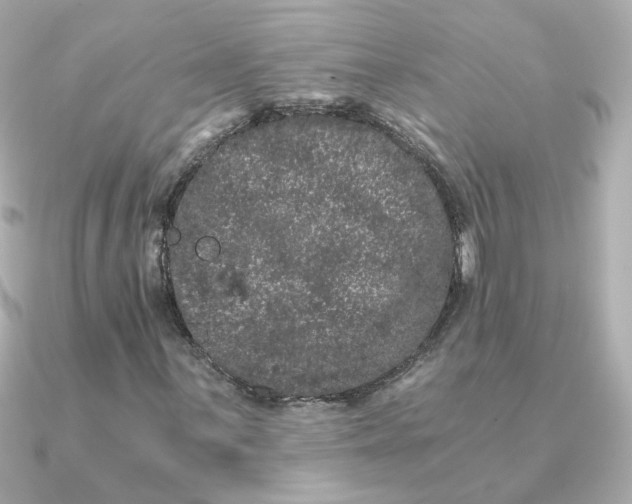 X0000090721059200708101549