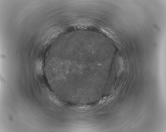 X0000090721060200708101549