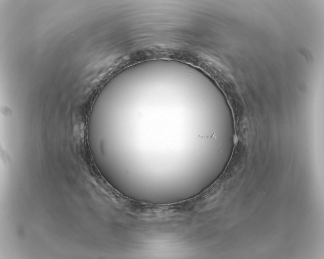 X0000090721061200708101549