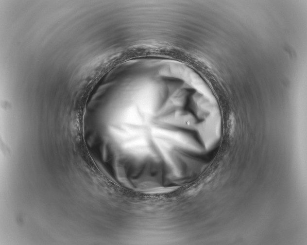 X0000090721062200708101549