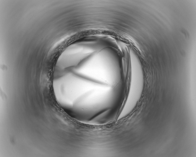 X0000090721064200708101549