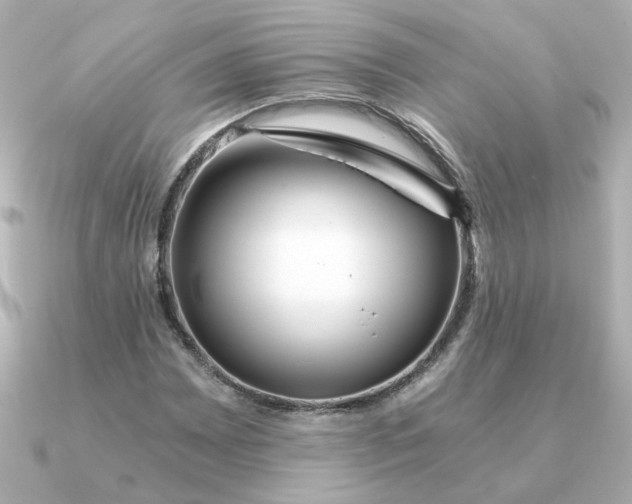 X0000090721065200708101549