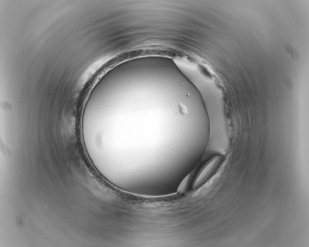 X0000090721066200708101549