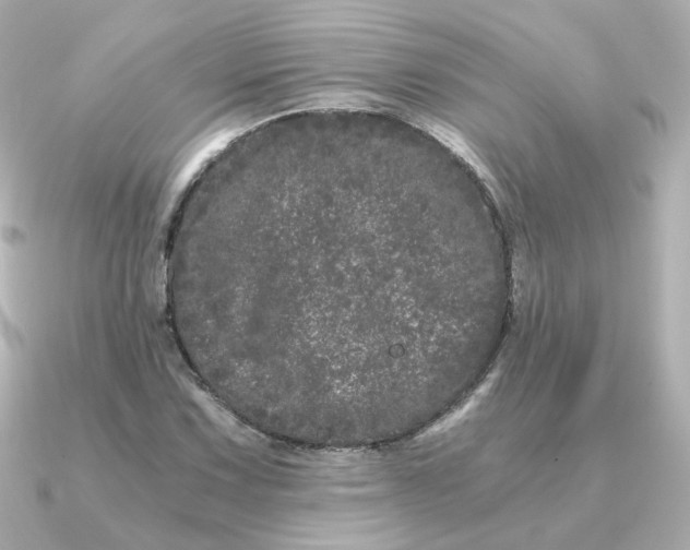 X0000090721067200708101549