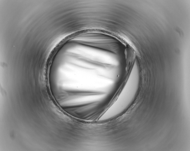 X0000090721068200708101549
