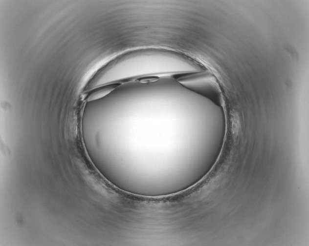 X0000090721069200708101548