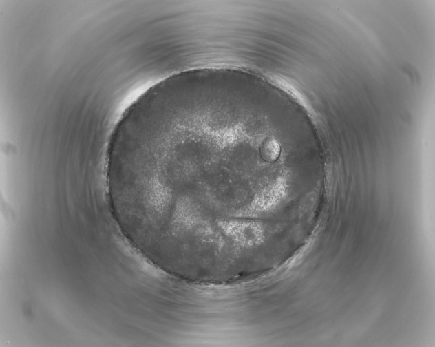 X0000090721071200708101548