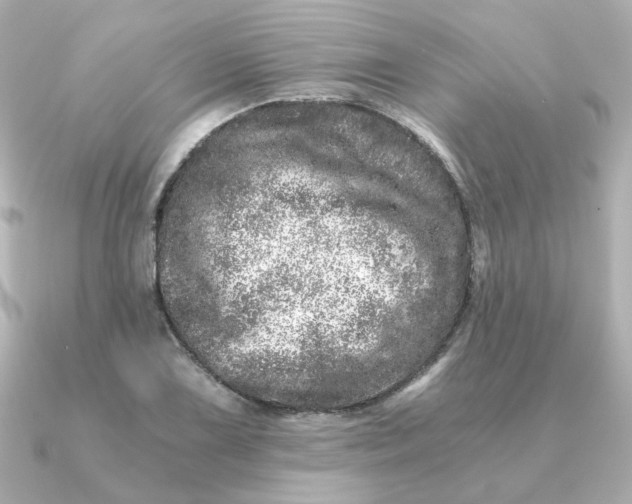 X0000090721075200708101548