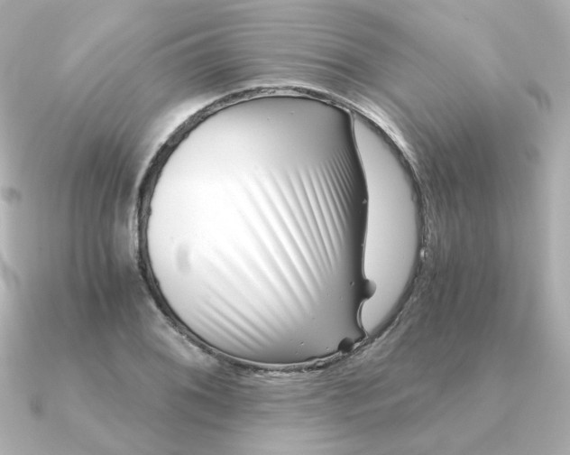 X0000090721076200708101548