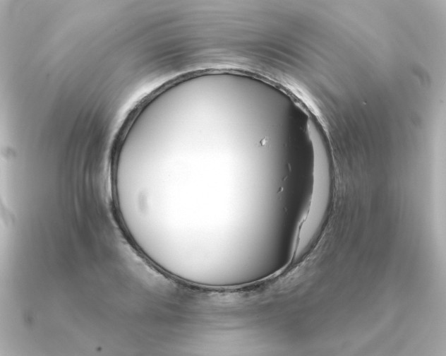 X0000090721080200708101548