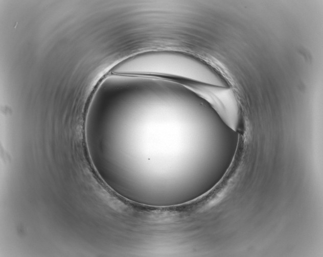 X0000090721081200708101548