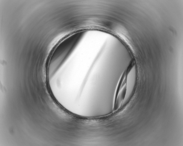X0000090721082200708101548