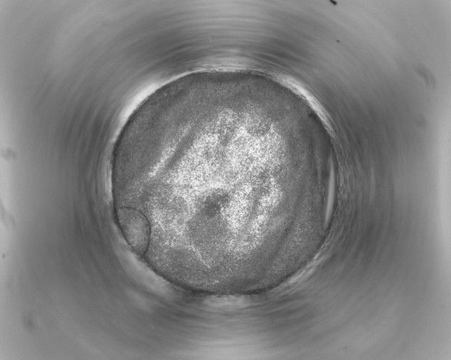 X0000090721083200708101548