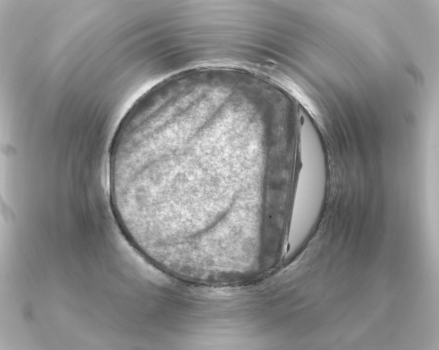 X0000090721084200708101548