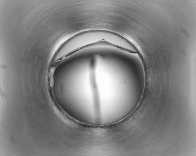 X0000090721085200708101548