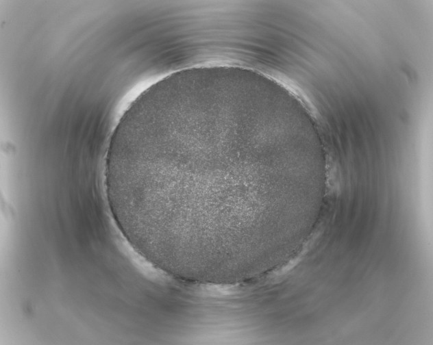 X0000090721086200708101548