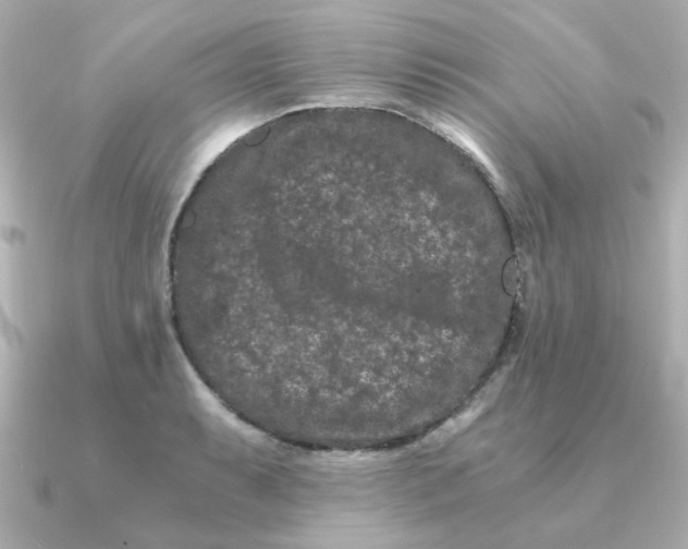 X0000090721087200708101548