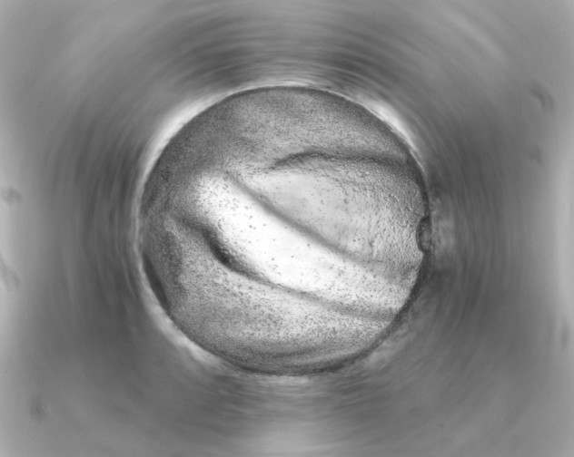 X0000090721088200708101548