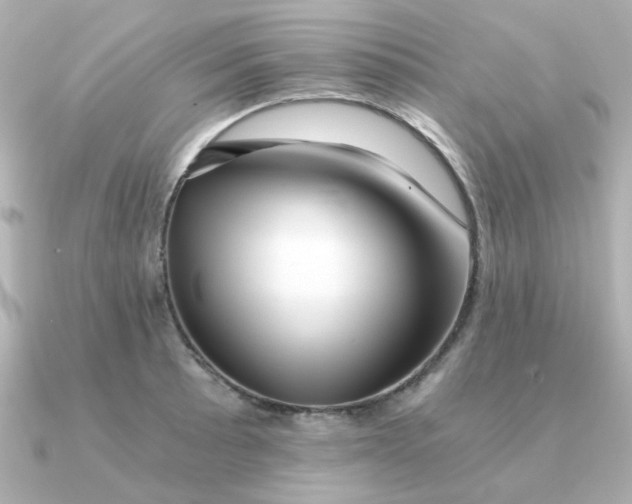 X0000090721089200708101548