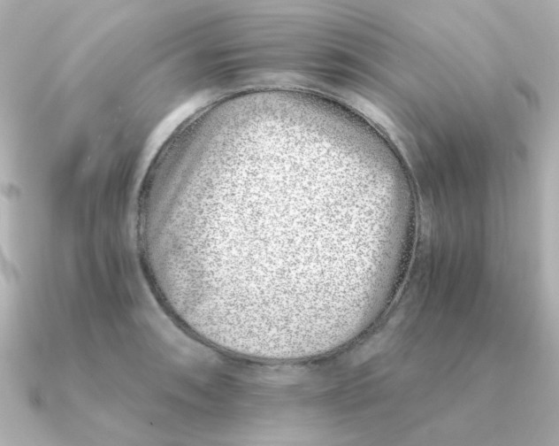 X0000090721090200708101548