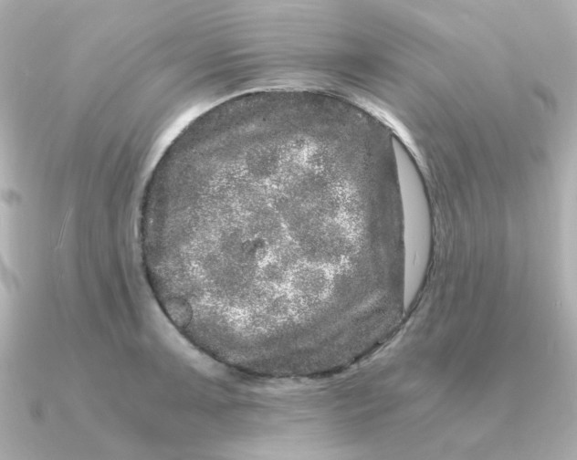 X0000090721091200708101548