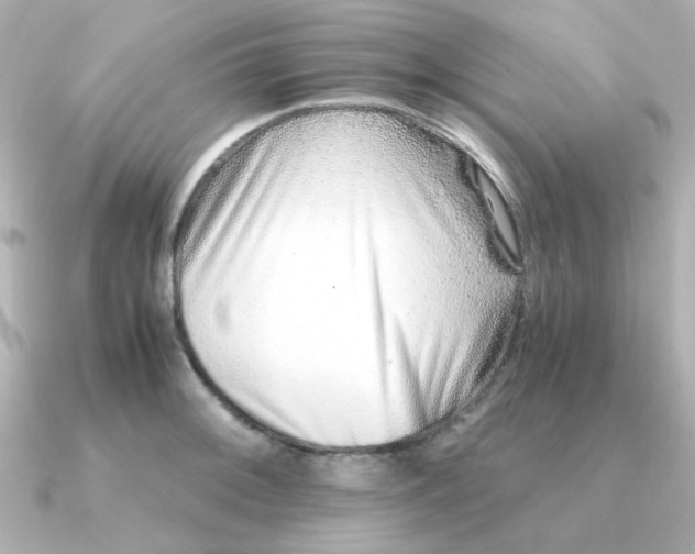 X0000090721092200708101548
