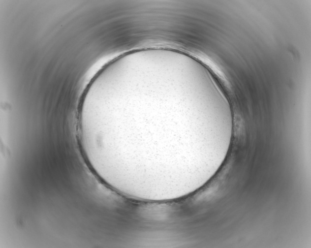 X0000090721094200708101548
