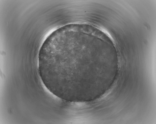 X0000090721095200708101548
