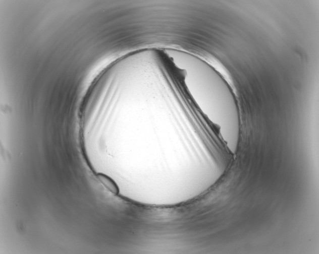 X0000090721096200708101548