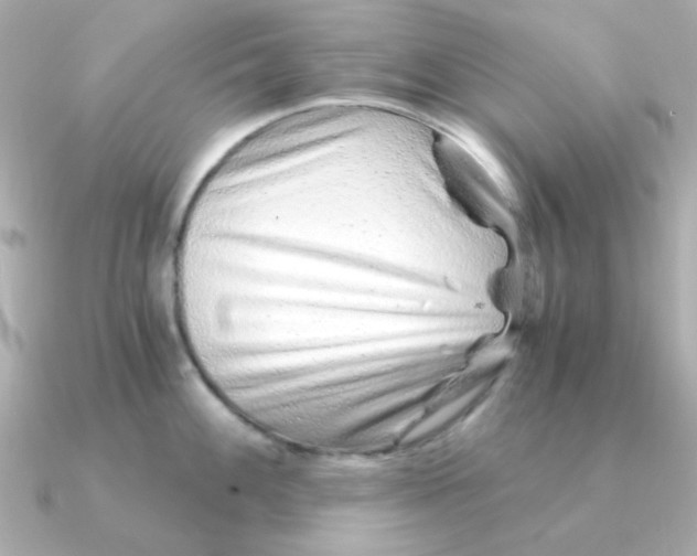 X0000090721100200708101548