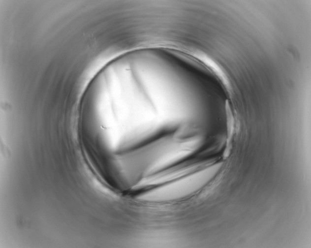 X0000090721102200708101548