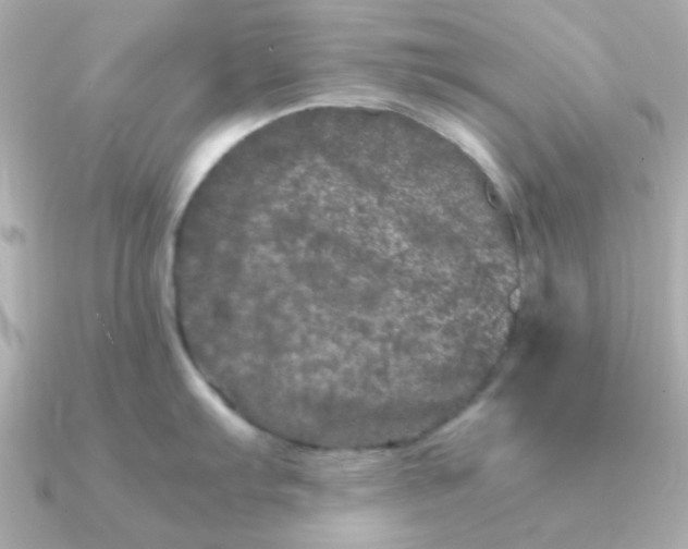 X0000090721103200708101548
