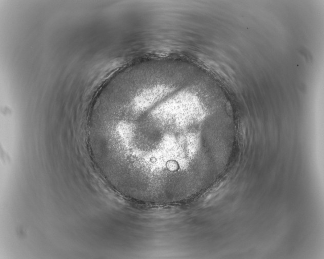 X0000090721105200708101547
