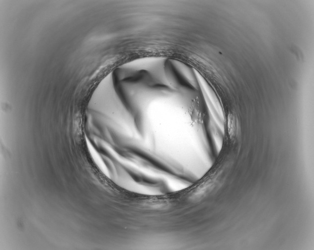 X0000090721107200708101547