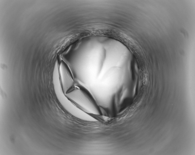 X0000090721108200708101547