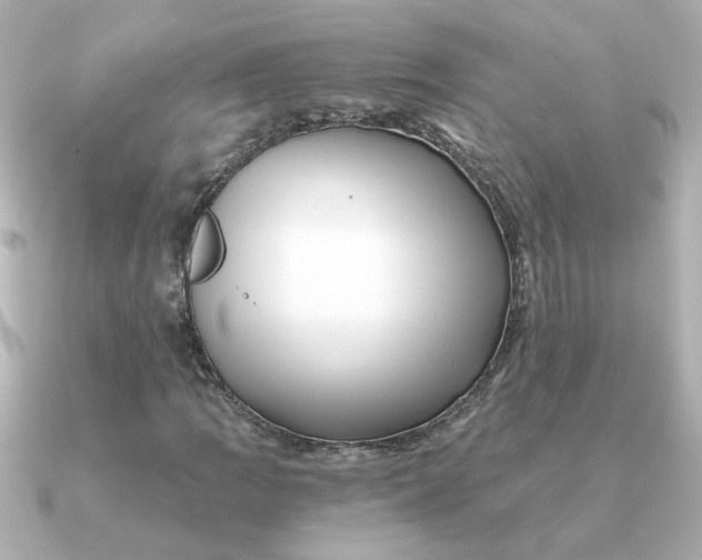 X0000090721109200708101547