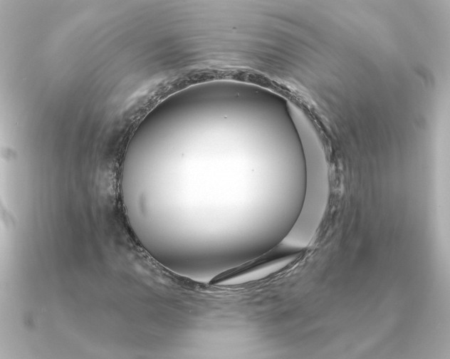 X0000090721110200708101547